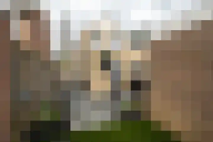 Broekestraat 19 Rilland thumbnail 5