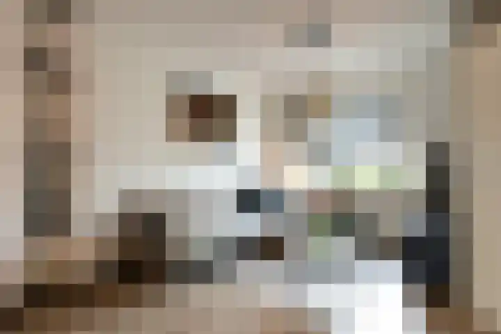 Broekestraat 19 Rilland thumbnail 6