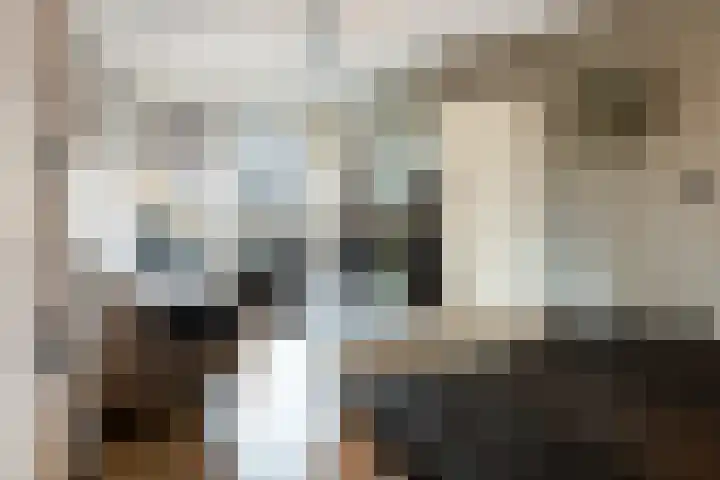 Broekestraat 19 Rilland thumbnail 7
