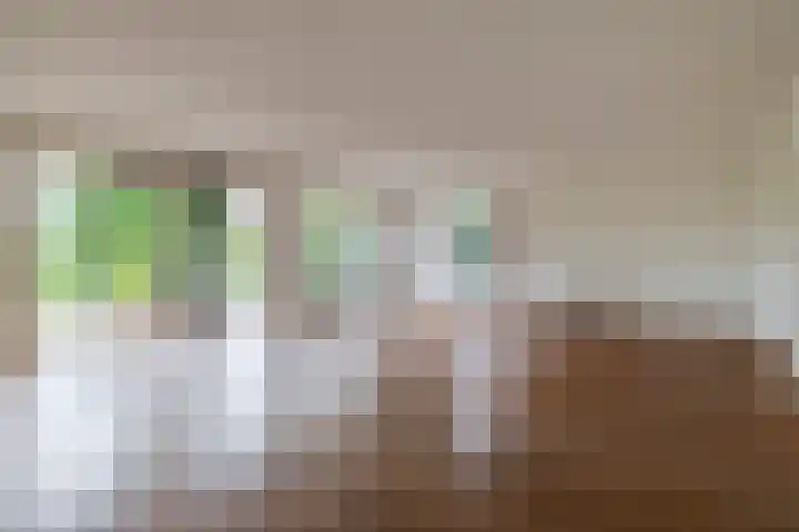 Broekfinne 121 De Wilgen thumbnail 10