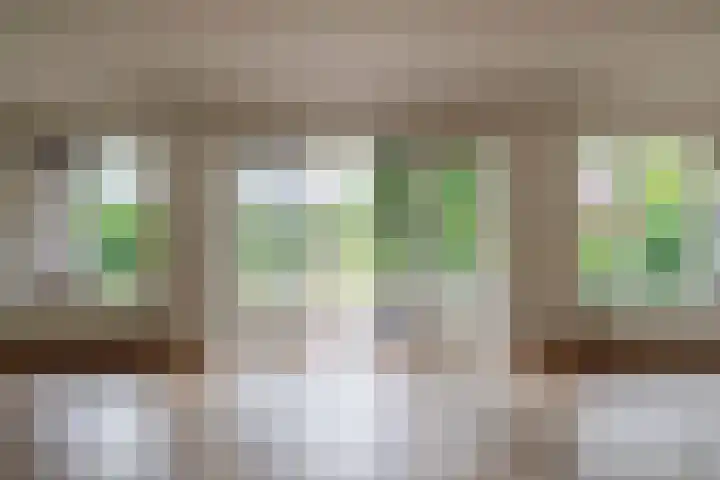 Broekfinne 121 De Wilgen thumbnail 11