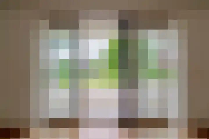 Broekfinne 121 De Wilgen thumbnail 12
