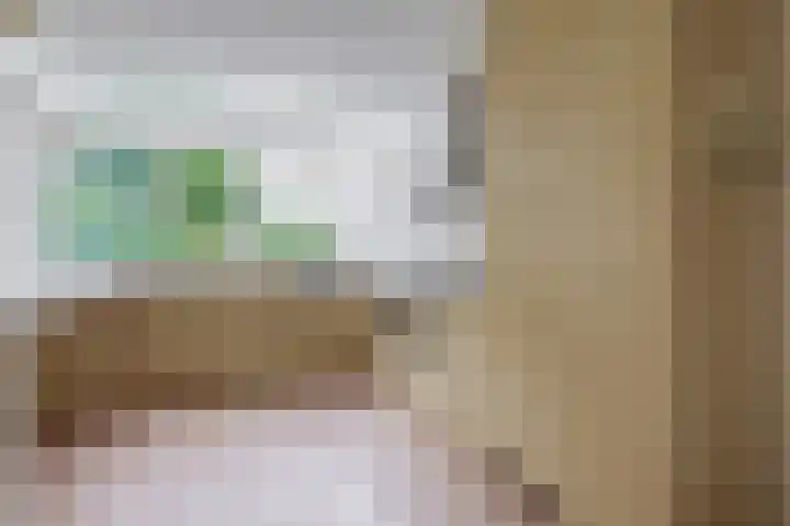 Broekfinne 121 De Wilgen thumbnail 20