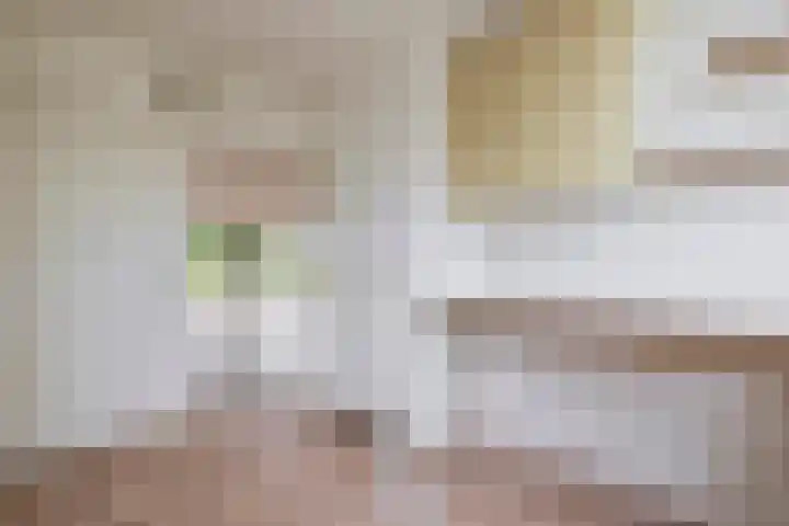 Broekfinne 121 De Wilgen thumbnail 24