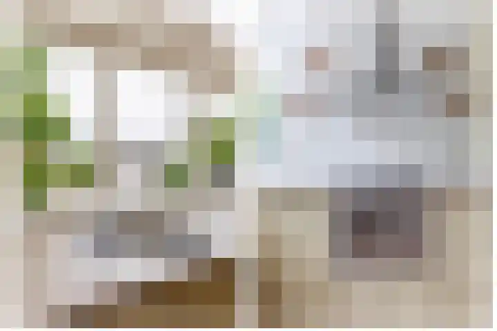 Broekfinne 121 De Wilgen thumbnail 25
