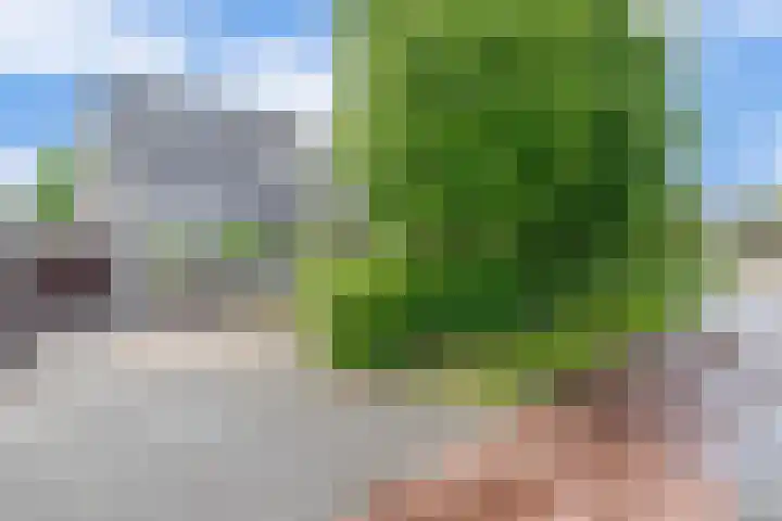 Broekfinne 121 De Wilgen thumbnail 28