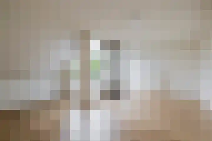 Broekfinne 121 De Wilgen thumbnail 32