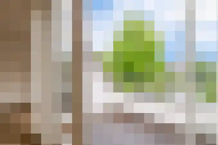 Broekfinne 121 De Wilgen thumbnail 35