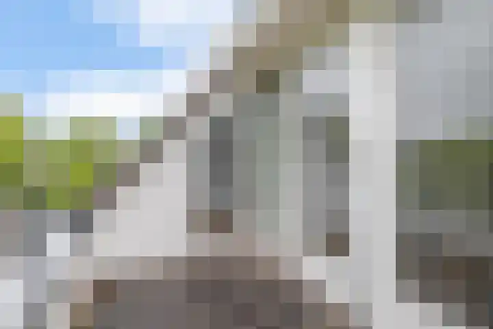 Broekfinne 121 De Wilgen thumbnail 36