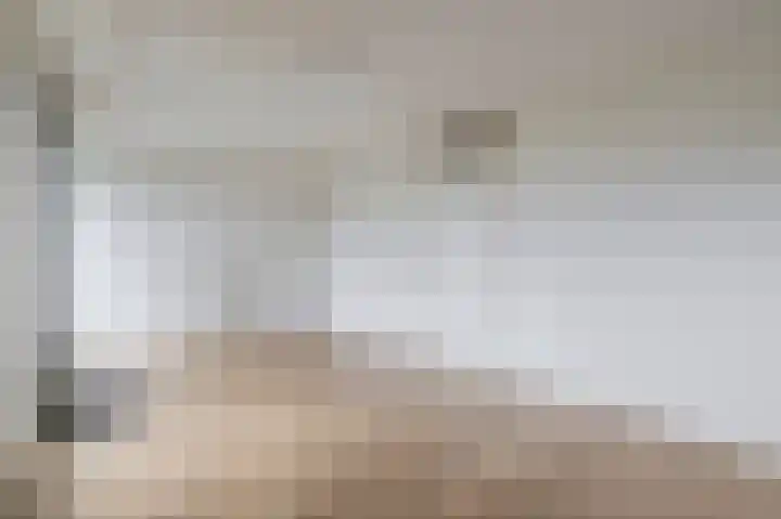 Broekfinne 121 De Wilgen thumbnail 40