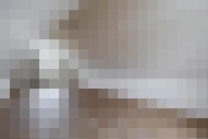 Broekfinne 121 De Wilgen thumbnail 44
