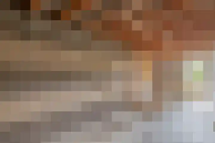 Broekfinne 121 De Wilgen thumbnail 46