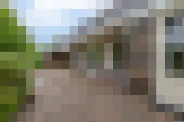 Broekfinne 121 De Wilgen thumbnail 47