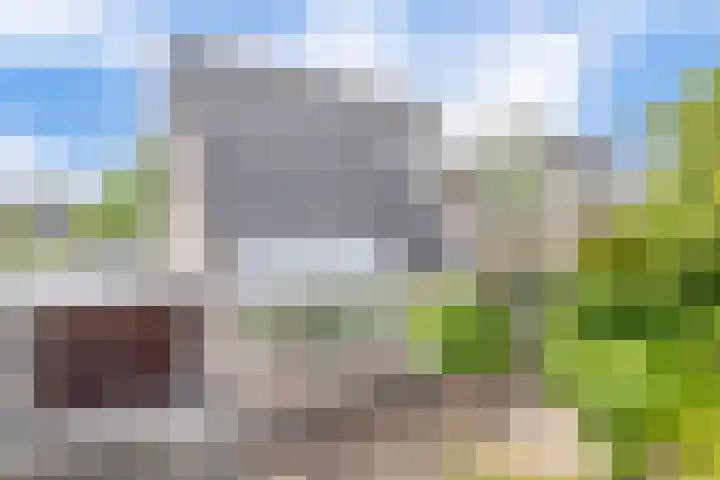 Broekfinne 121 De Wilgen thumbnail 49