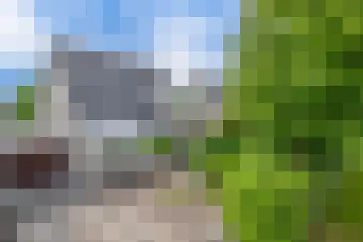 Broekfinne 121 De Wilgen thumbnail 5