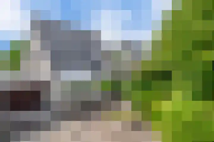 Broekfinne 121 De Wilgen thumbnail 50