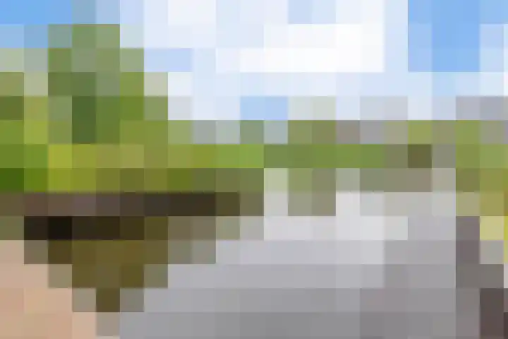 Broekfinne 121 De Wilgen thumbnail 51