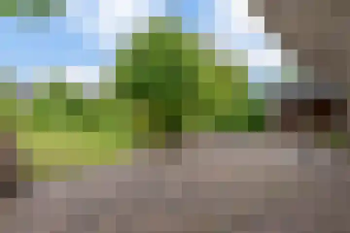 Broekfinne 121 De Wilgen thumbnail 53