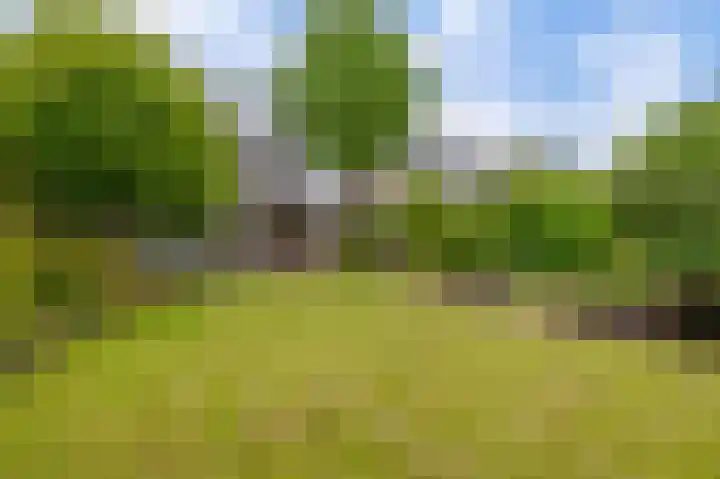 Broekfinne 121 De Wilgen thumbnail 54