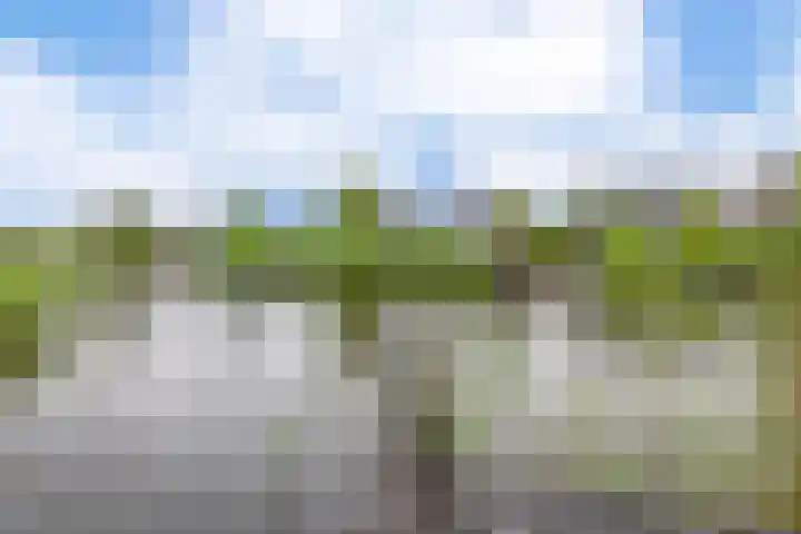 Broekfinne 121 De Wilgen thumbnail 55