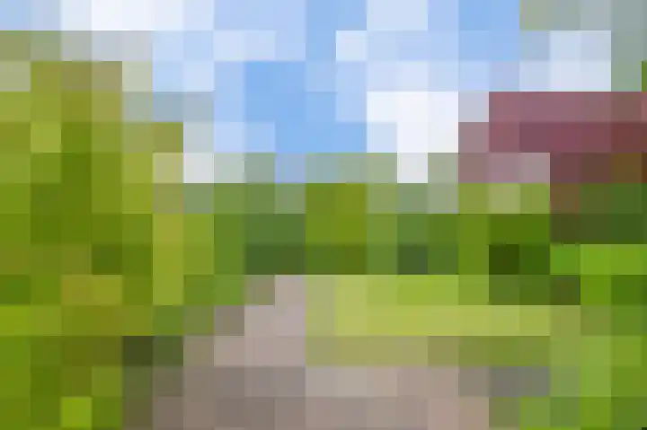 Broekfinne 121 De Wilgen thumbnail 56