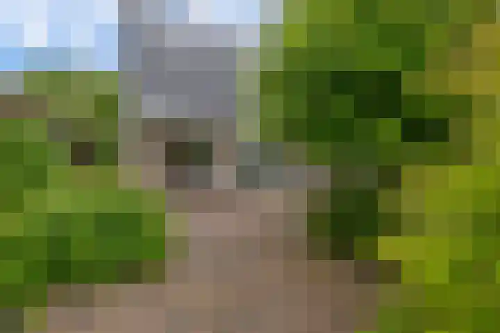 Broekfinne 121 De Wilgen thumbnail 57