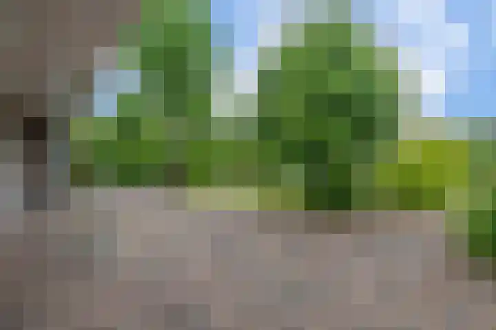 Broekfinne 121 De Wilgen thumbnail 58