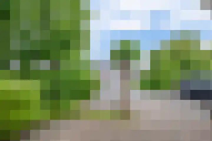 Broekfinne 121 De Wilgen thumbnail 59