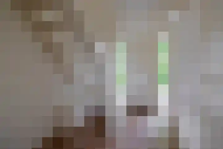 Broekfinne 121 De Wilgen thumbnail 6