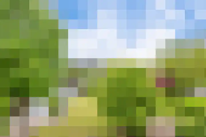 Broekfinne 121 De Wilgen thumbnail 60