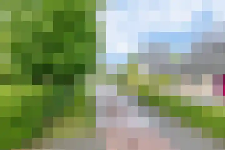 Broekfinne 121 De Wilgen thumbnail 61