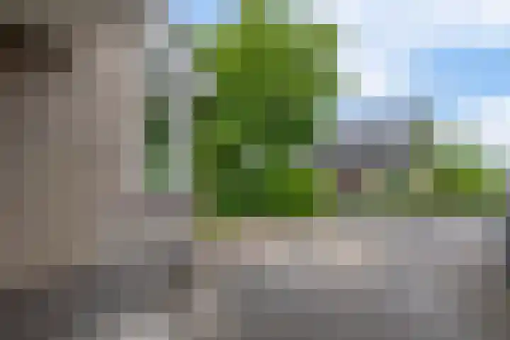 Broekfinne 121 De Wilgen thumbnail 62