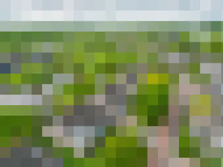 Broekfinne 121 De Wilgen thumbnail 63