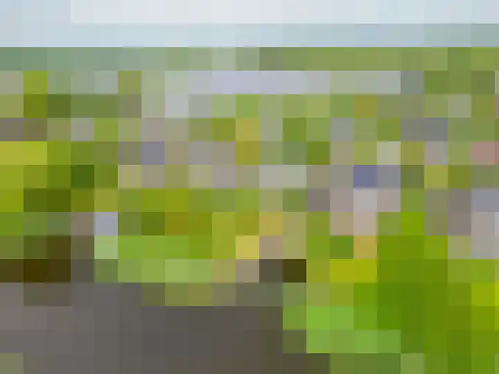 Broekfinne 121 De Wilgen thumbnail 64