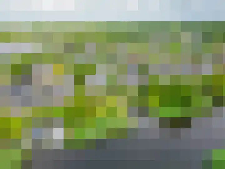 Broekfinne 121 De Wilgen thumbnail 65