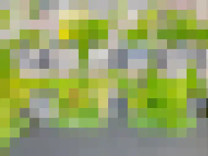 Broekfinne 121 De Wilgen thumbnail 66