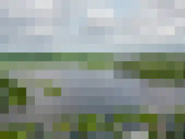 Broekfinne 121 De Wilgen thumbnail 67