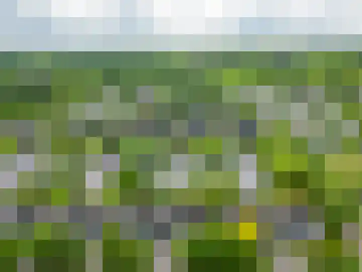 Broekfinne 121 De Wilgen thumbnail 68