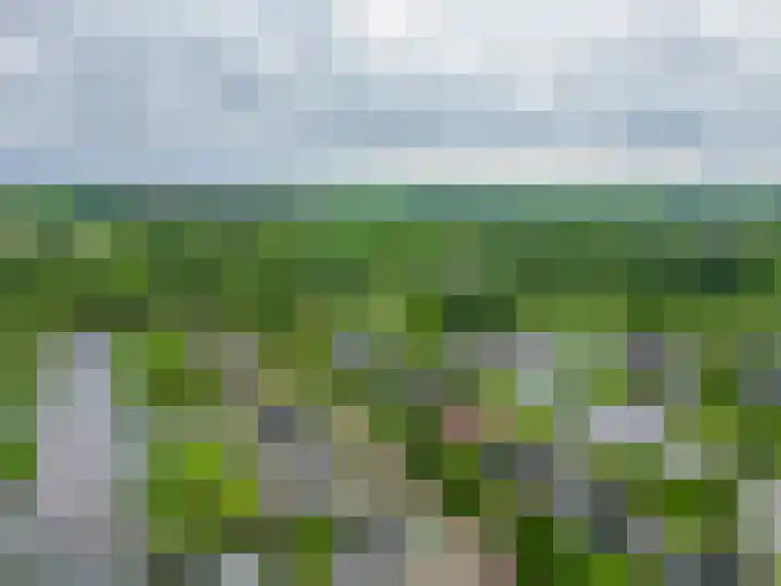 Broekfinne 121 De Wilgen thumbnail 69