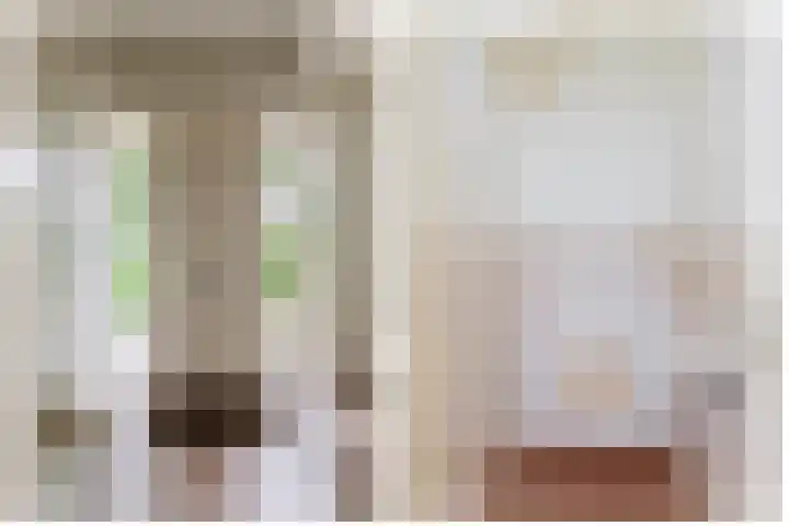 Broekfinne 121 De Wilgen thumbnail 7