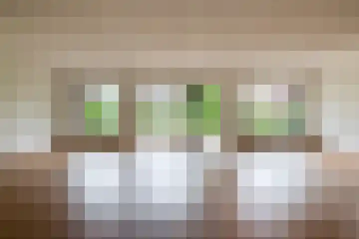 Broekfinne 121 De Wilgen thumbnail 9