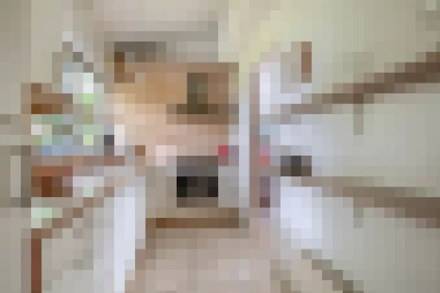 Broekfinne 149 De Wilgen thumbnail 13