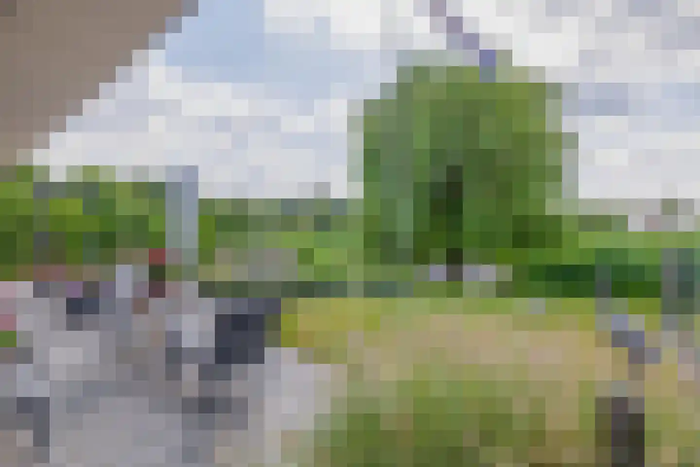 Broekfinne 149 De Wilgen thumbnail 28