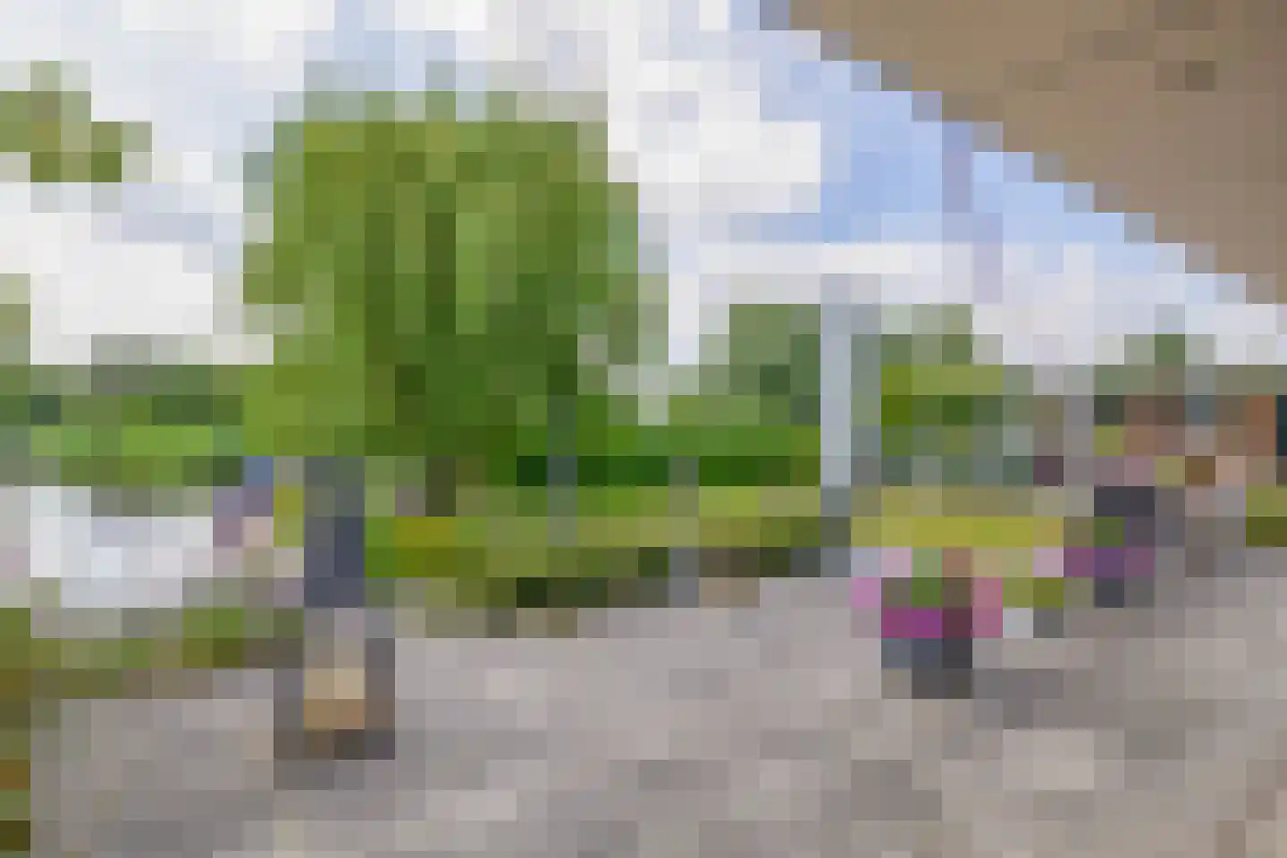 Broekfinne 149 De Wilgen thumbnail 29