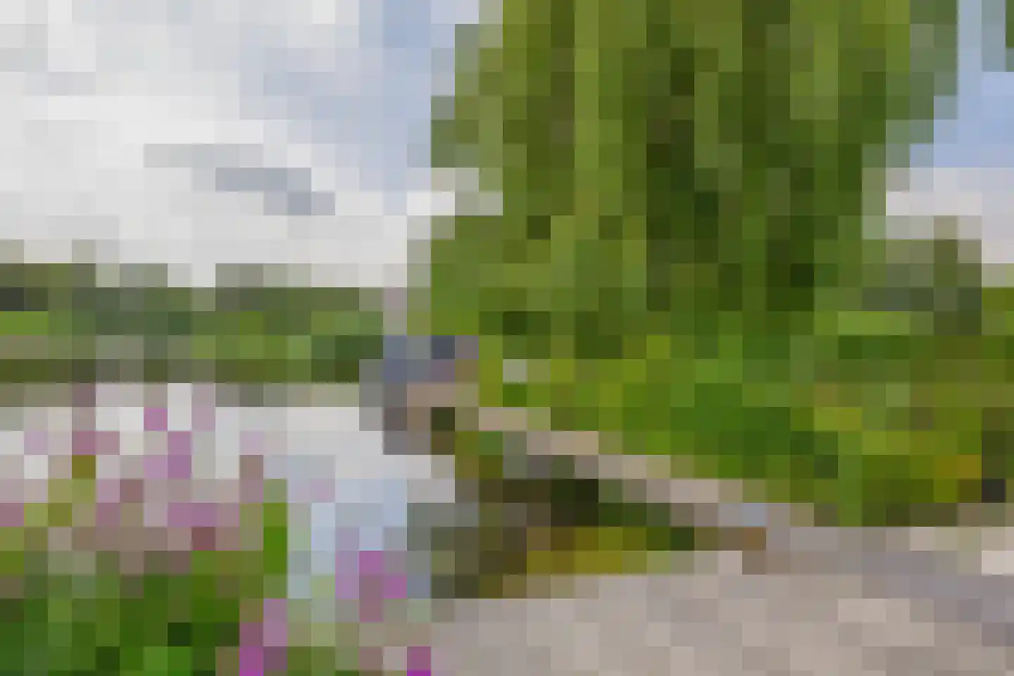 Broekfinne 149 De Wilgen thumbnail 30