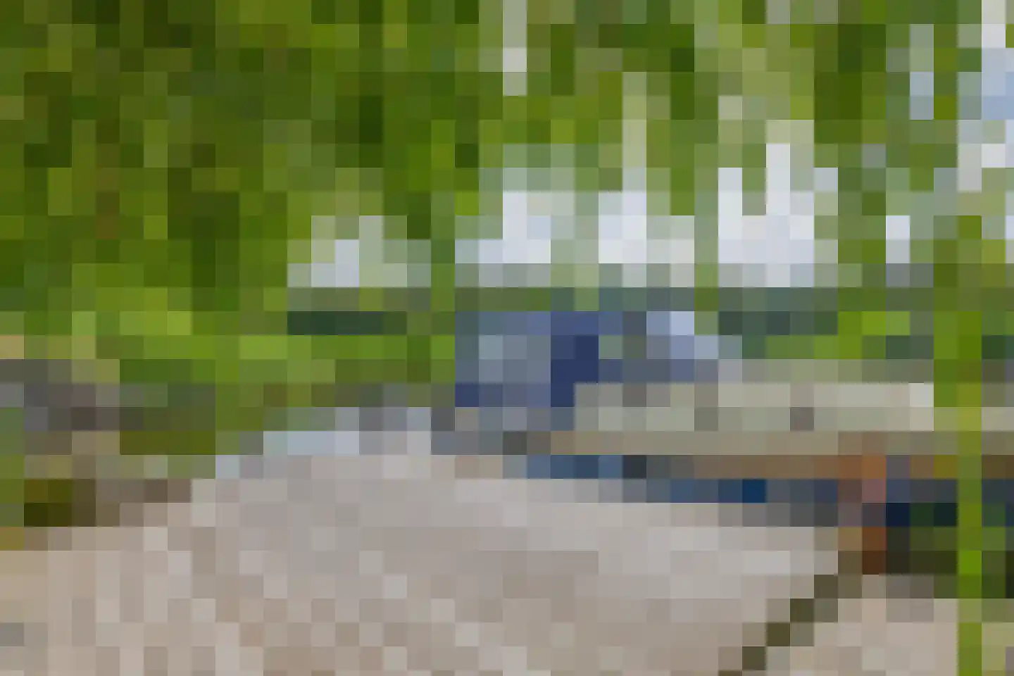 Broekfinne 149 De Wilgen thumbnail 31