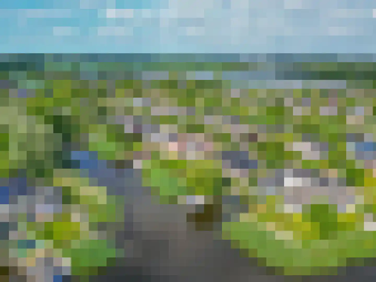 Broekfinne 149 De Wilgen thumbnail 33
