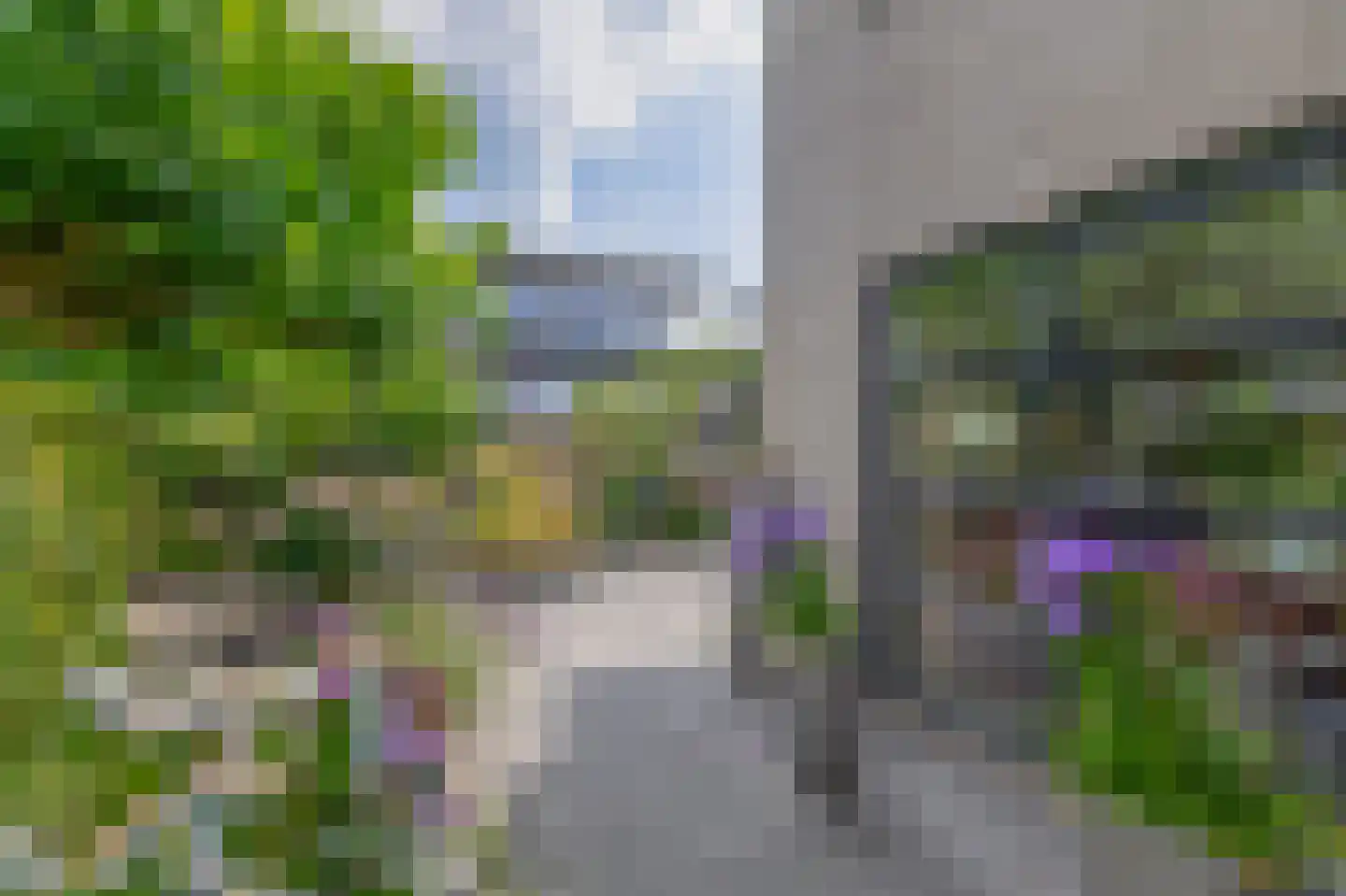 Broekfinne 149 De Wilgen thumbnail 34