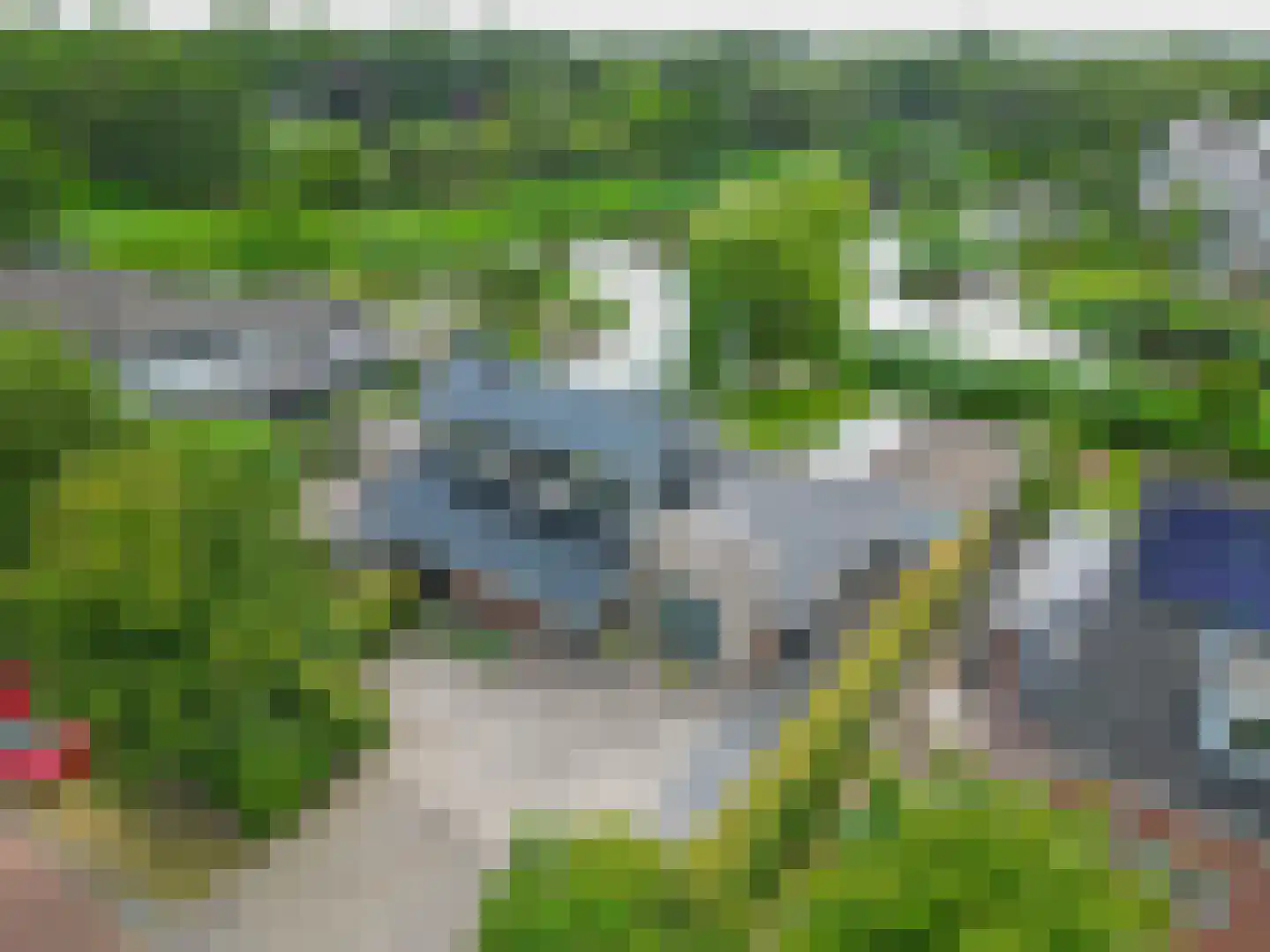 Broekfinne 149 De Wilgen thumbnail 35