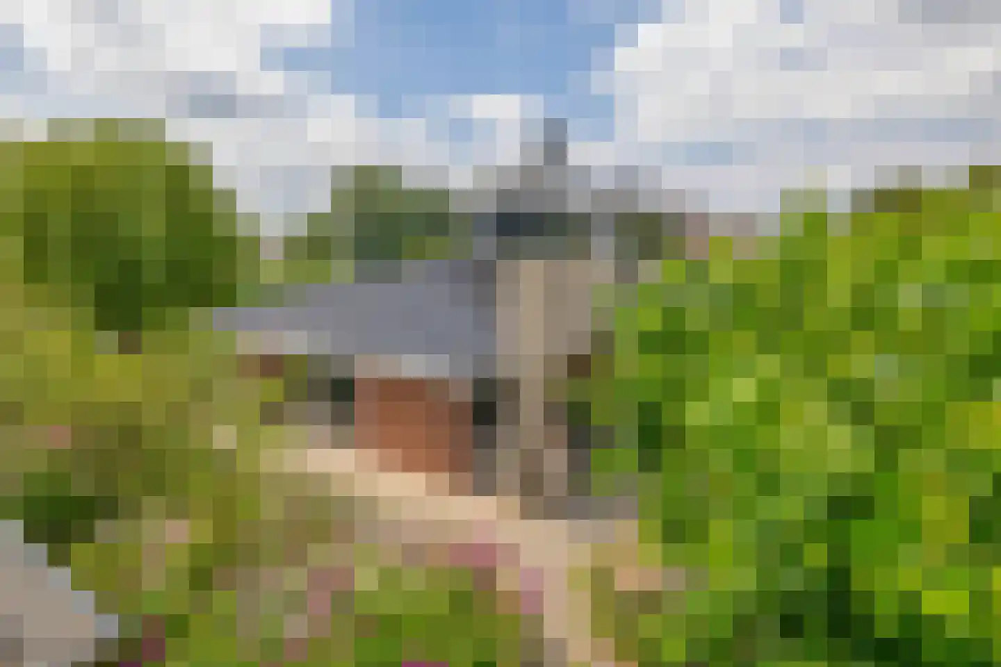 Broekfinne 149 De Wilgen thumbnail 38
